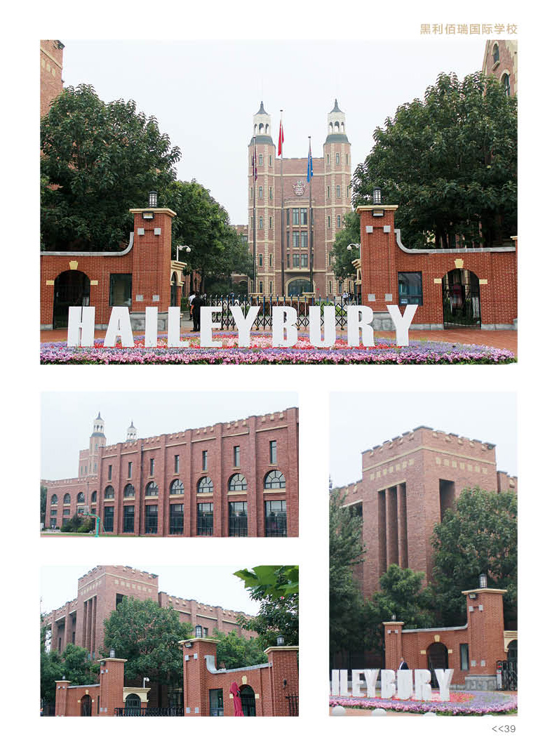 hb02.jpg